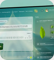 Mobile application interface